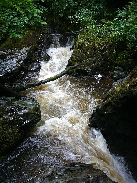 Wales (74).JPG